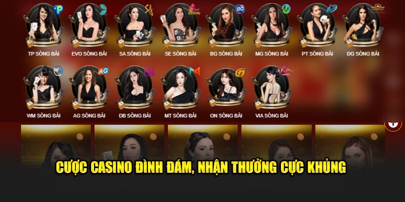 Cược casino đình đám, nhận thưởng cực khủng