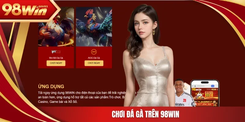 Chơi đá gà trên 98Win